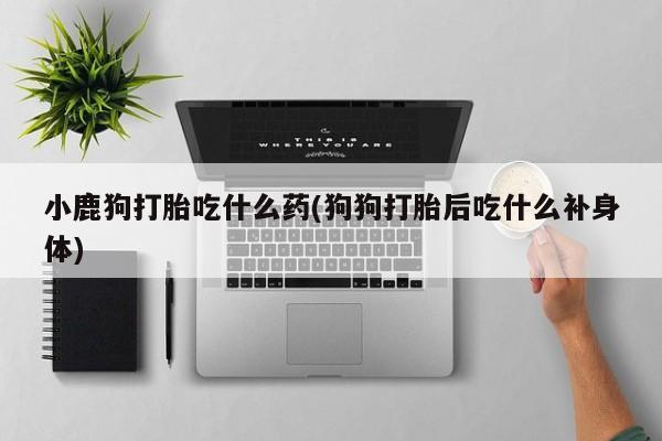药流药在线购买小鹿狗打胎吃什么药(狗狗打胎后吃什么补身体)